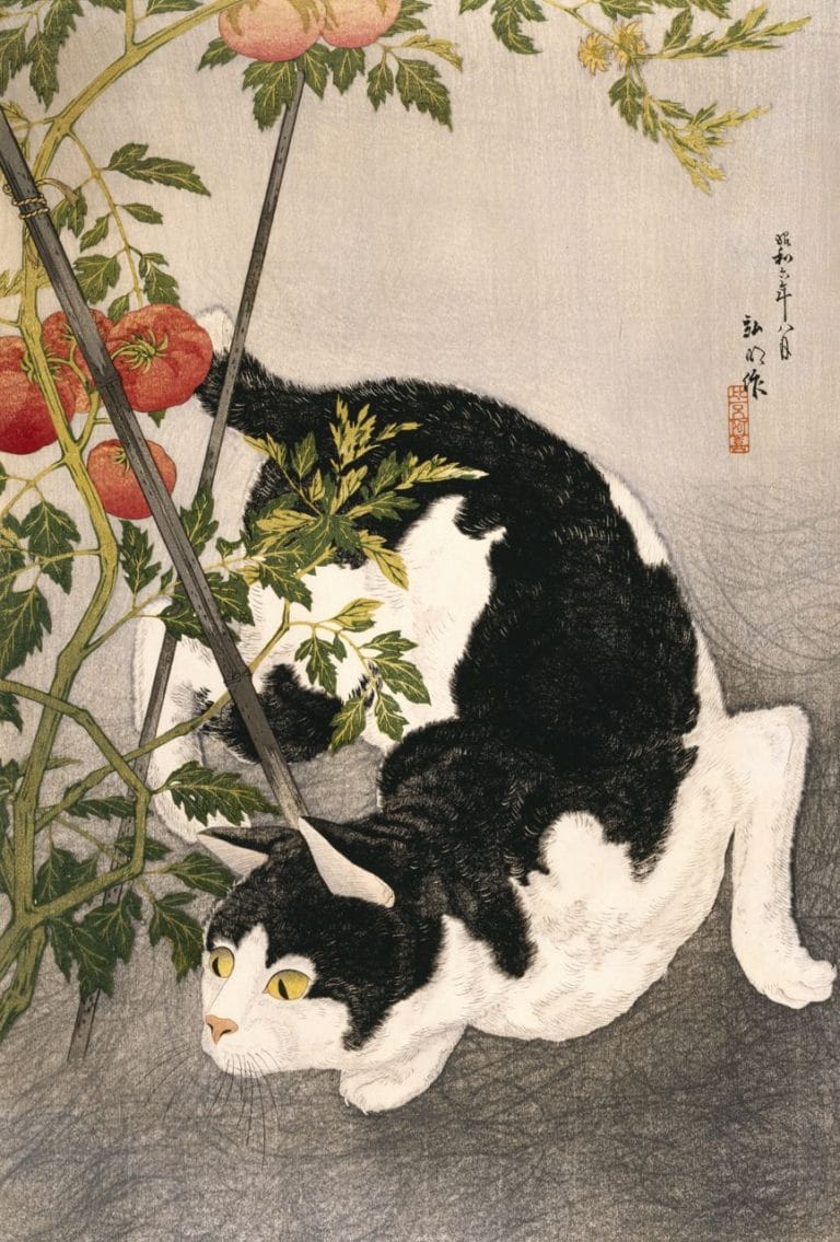 Woodblock print of a black and white cat with yellow eyes curled around a staked tomato plant.