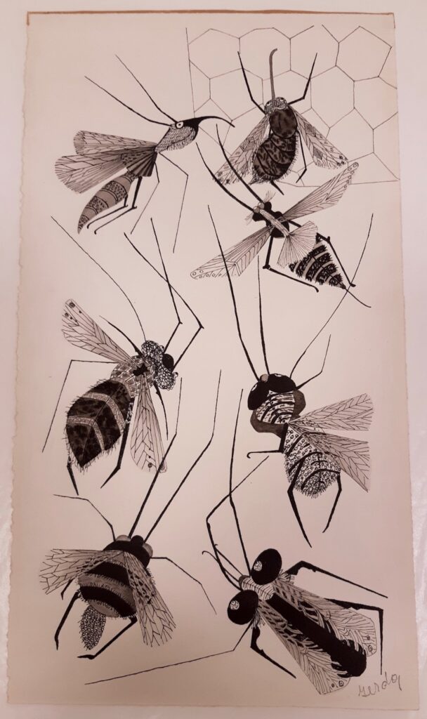 Gerda Brentani, "Insectos [Insects]", not dated, ink and wash, 16 x 8 7/16 in., Blanton Museum of Art, The University of Texas at Austin, Gift of Thomas Cranfill, 1972; Transfer from the Harry Ransom Center