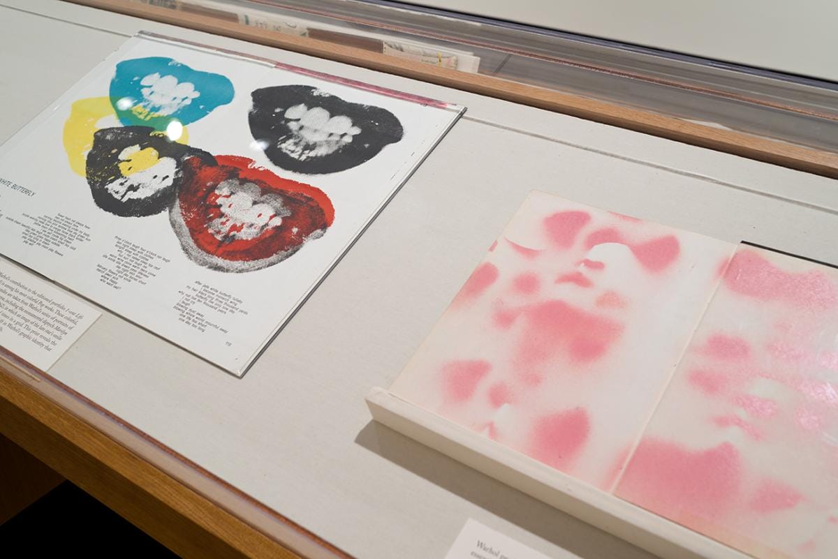 Printed album covers in a display case. The print in the background shows multiple sets of lips and bared teeth in red, blue, yellow, and black. The print in the foreground shows abstract blurred pink shapes on a white background.