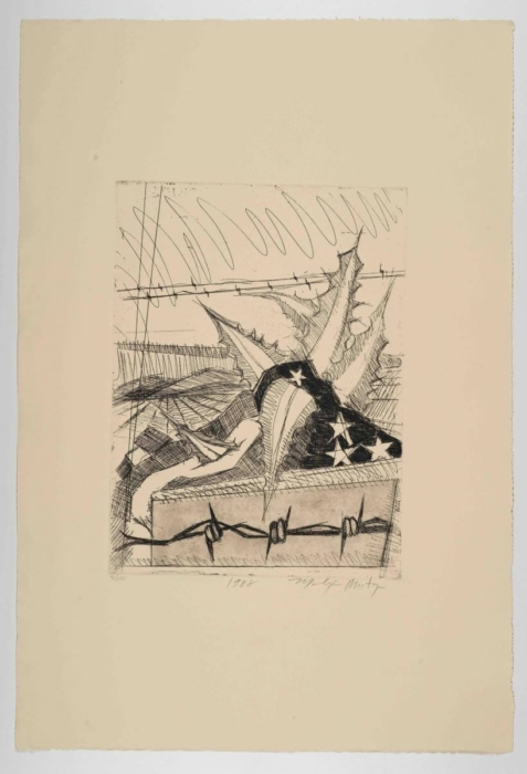 An abstract drawing featuring a large, leaf-like structure with pointed edges. Draped over the structure is a cloth patterned with stars, reminiscent of the American flag. A barbed wire fence runs horizontally across the middle, with another barbed wire element at the bottom. The background consists of curved lines and scribbles, enhancing the abstract nature of the artwork. The piece is signed and dated 1988 at the bottom, with a notation indicating it is number 3 out of 100 prints.